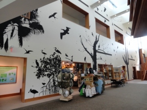 The welcoming atrium of the Cornell Ornithology Center